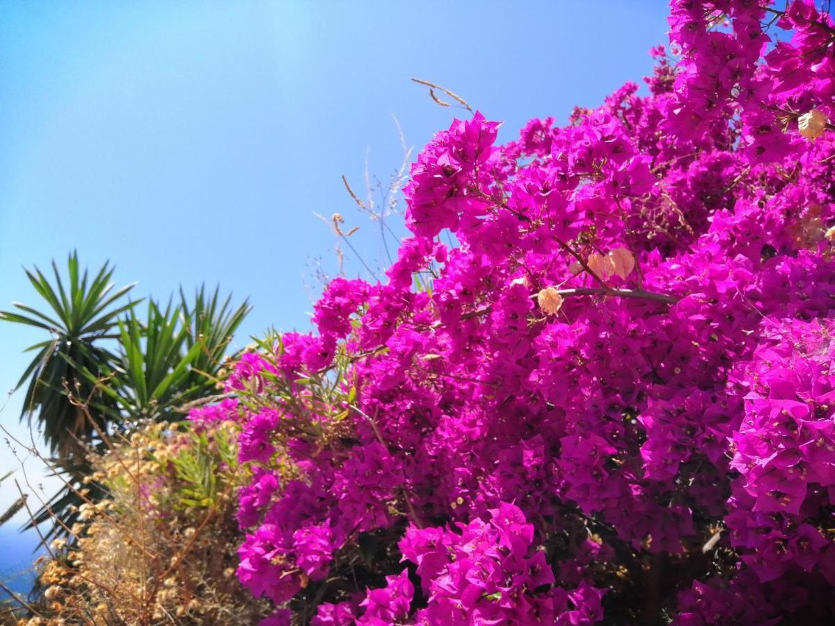 Finca Mariposa Mariposaholidays Nerja Exterior photo
